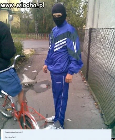 Podwórkowy gangster 