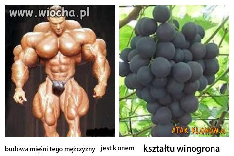 Uderzające podobieństwo