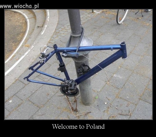 Rower??