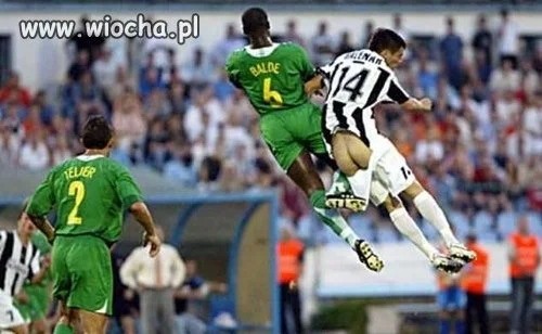 Brawo!