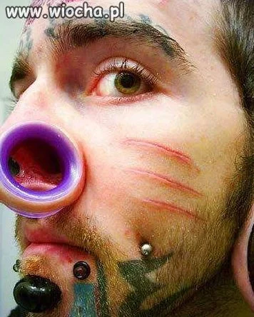 WTF!!