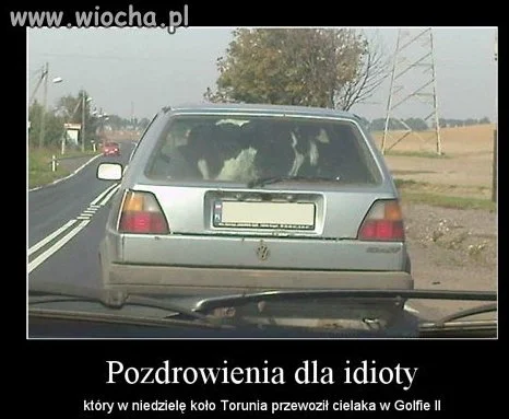 Nie muszę nic pisać