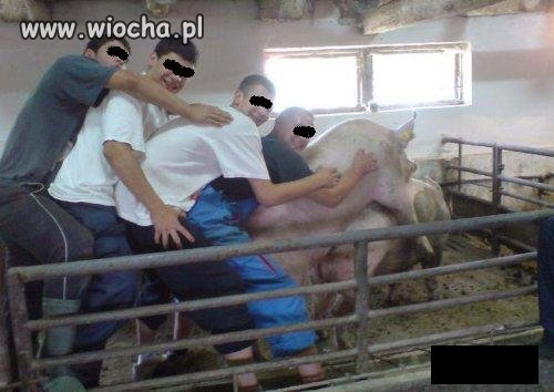 Wiejskie zabawy