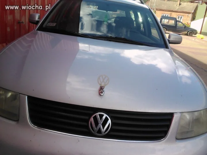 VW Mercedes??