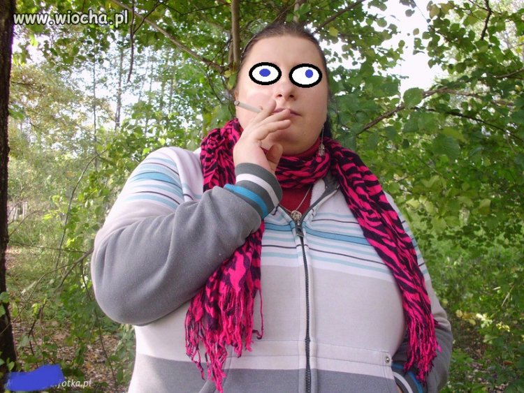 Lans na fajke?