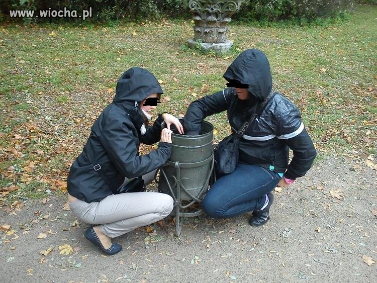 Dziunie chyba szukały własnego rozumu w śmietniku