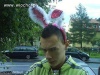 Króliczek playboya?