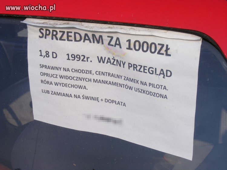 Świńska oferta