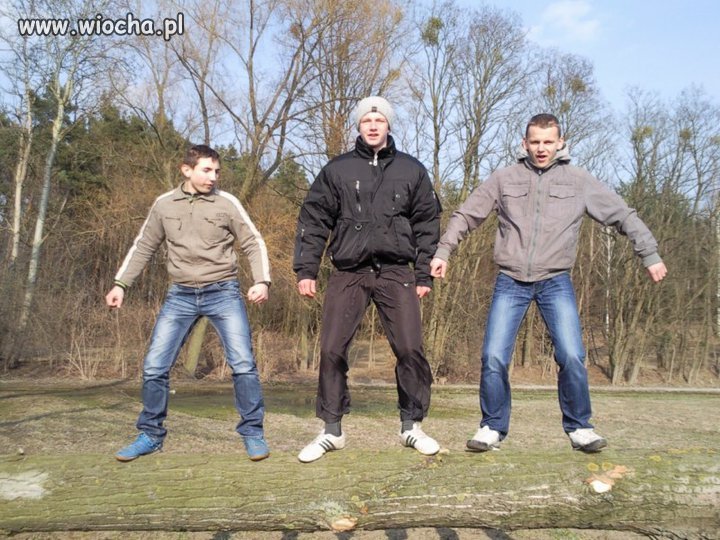 Bossowie spadli z drzewa.