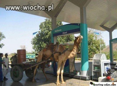 Diesel