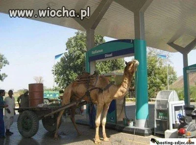 Diesel