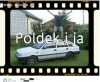 Poldek i on