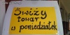 "świży"