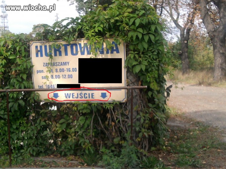 Wejście...