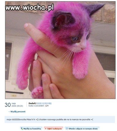 Pomóżcie żywej istocie