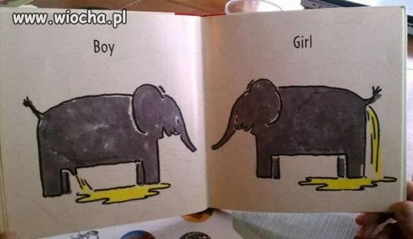 Teraz to tylko takie książki. 