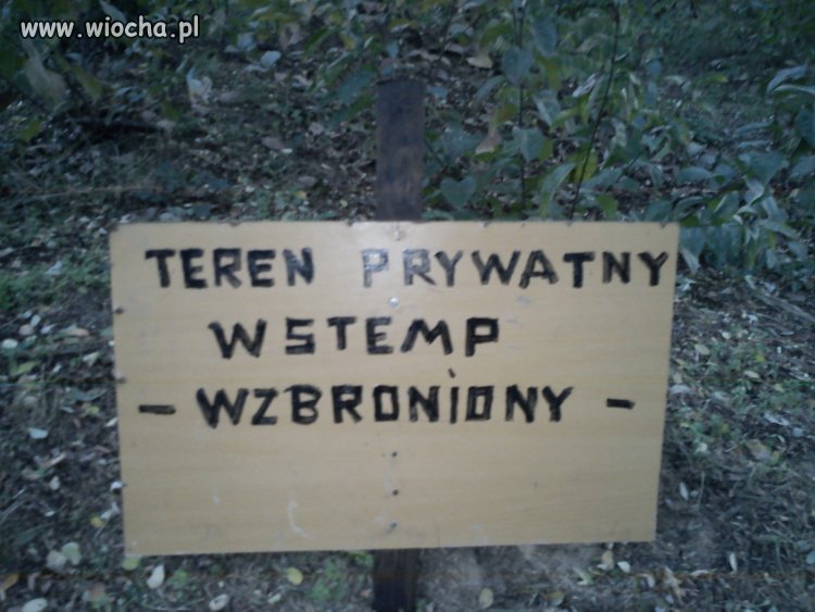 Ktoś chyba powinien 