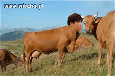 Hehe -  dobra przeróbka