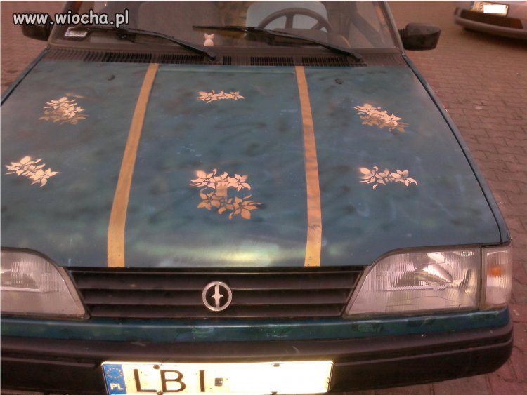 "Orginalny" Poloznez 