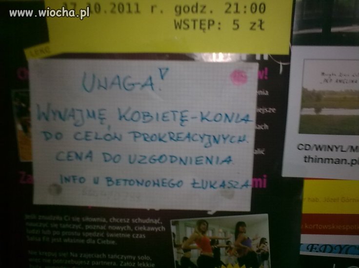 Wiocha na UWM 