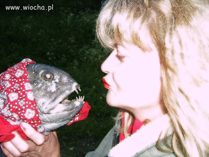 Ta pani aby znaleźć mężczyznę  