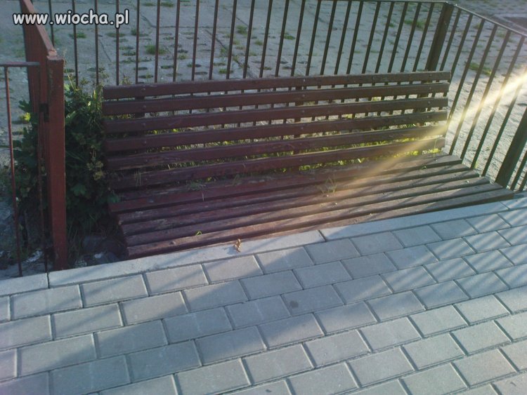 Ławka na wysokości niższej jak poziom chodnika 