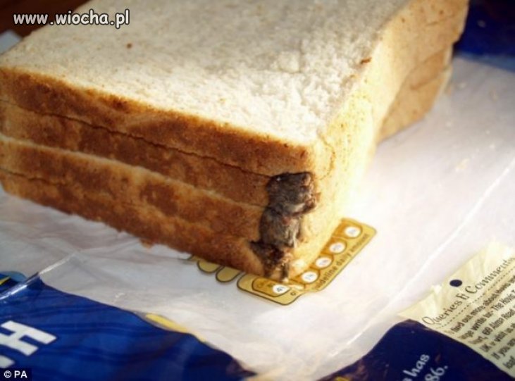 Ten chleb pakował chyba ślepy, Polak potrafi...