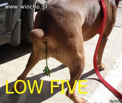 Give five