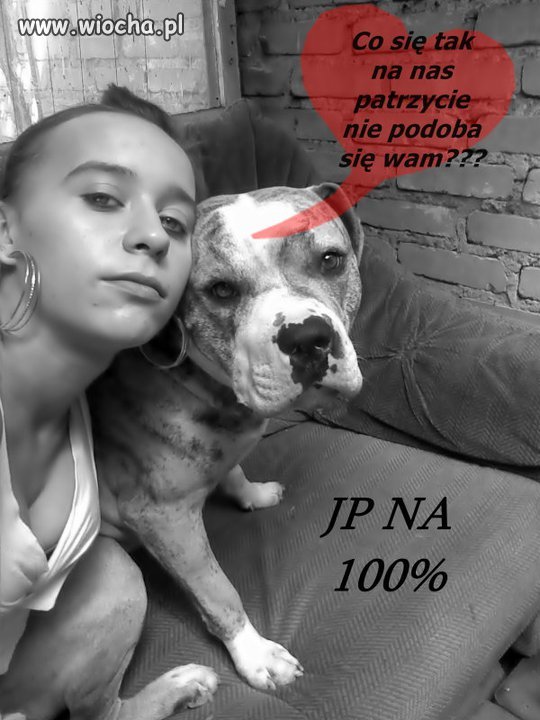 JP NA 100% z pieskiem