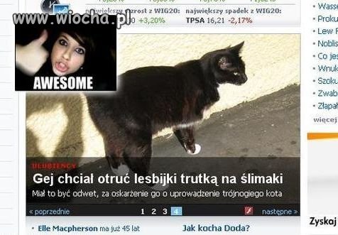 Ciekawe