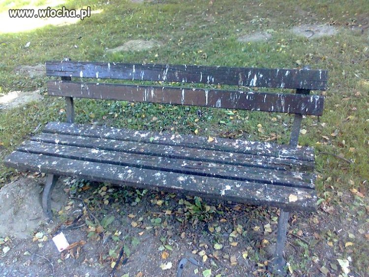 Takie obsrane ławki 