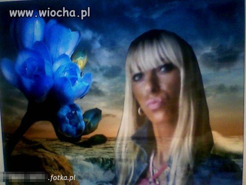Dzióbek