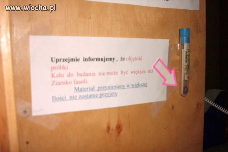 Próbka