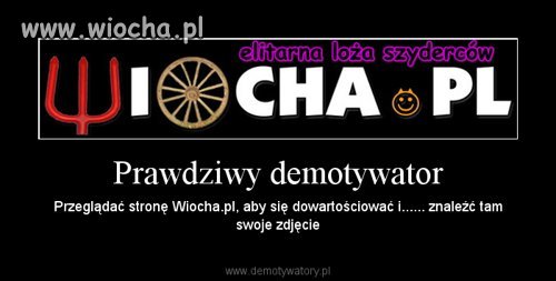 Gratulacje dla Wiocha.pl 