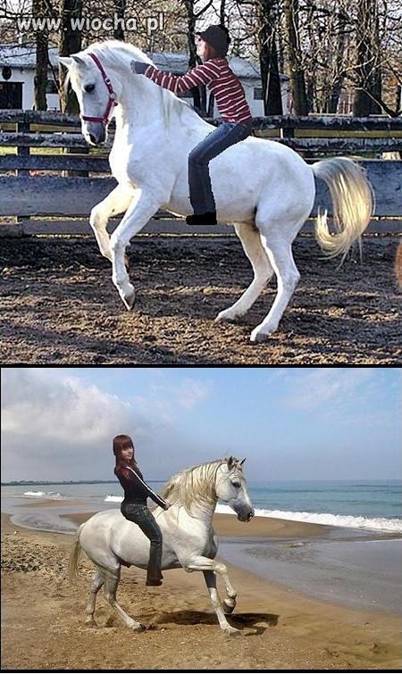 Mistrz photoshopa