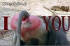 ILove You