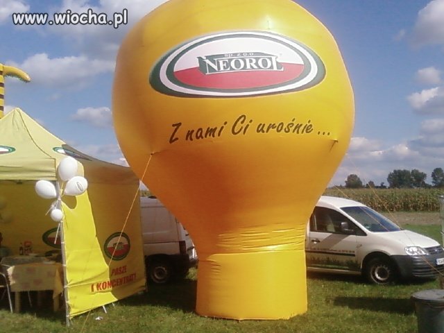 Coś dla małych