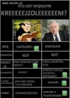 Ranking świra