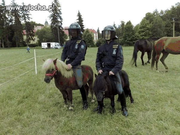 Straż Miejska czy Wiejska ?