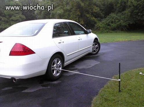 Aż żal kraść