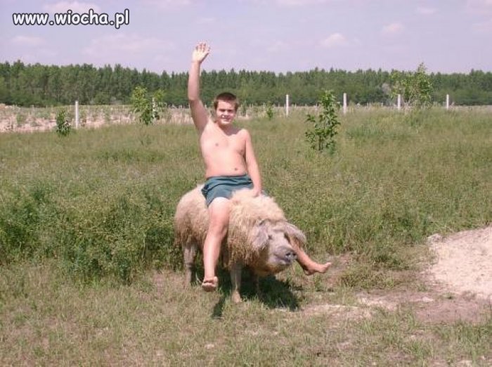 Jazda na Świni...
