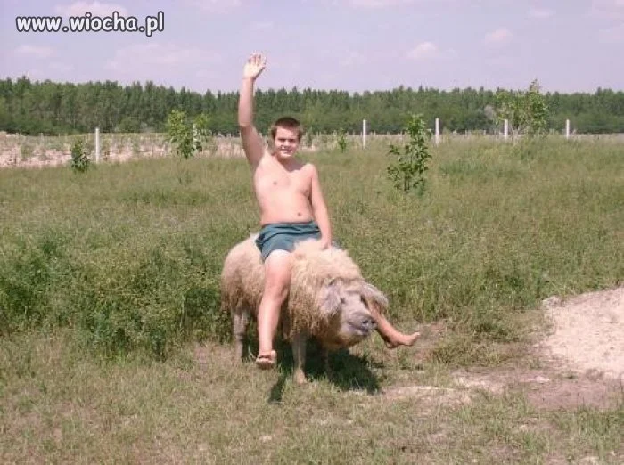 Jazda na Świni...