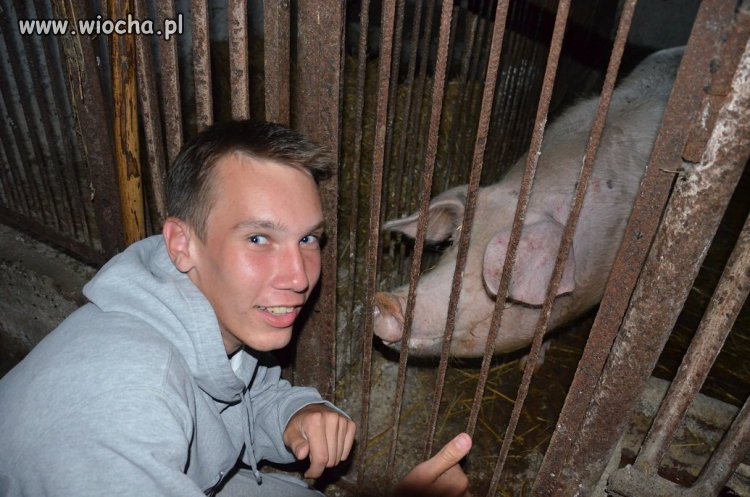 Kto jest ładniejszy! 