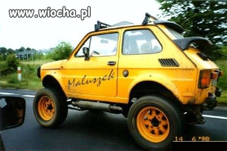 Piękny maluch...