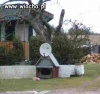 Animal Planet?