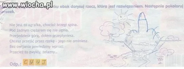 Rozumeim wszystko