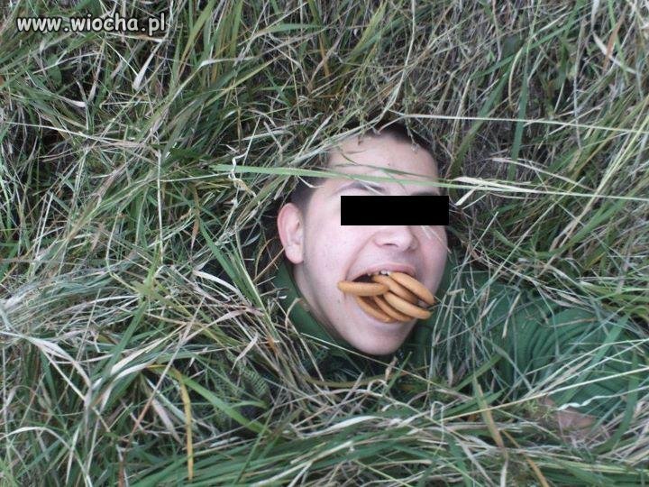 Biszkopty...