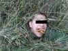 Biszkopty...