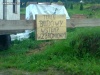 WSTEMP wzbroniony