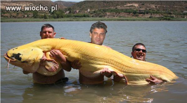 Mistrz fotoshopa